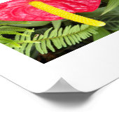 赤いラクレアフの花フローラ写真 ポスター (角)