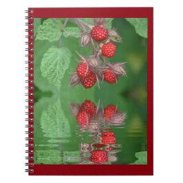 赤いラズベリー反射 ノートブック