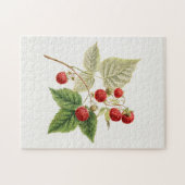 赤いラズベリー(Rubus Xinrectus)フルーツ絵画ズ ジグソーパズル (横)