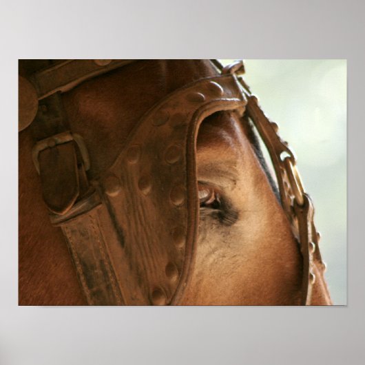 赤いラバ – Eyeポスター ポスター (正面)