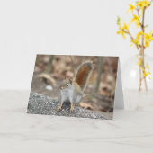 赤いリスのグリーティングカード カード (黄色い花)