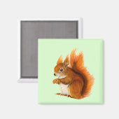 赤いリスの水の色の絵画野生生物のアートワーク マグネット (正面/裏面)
