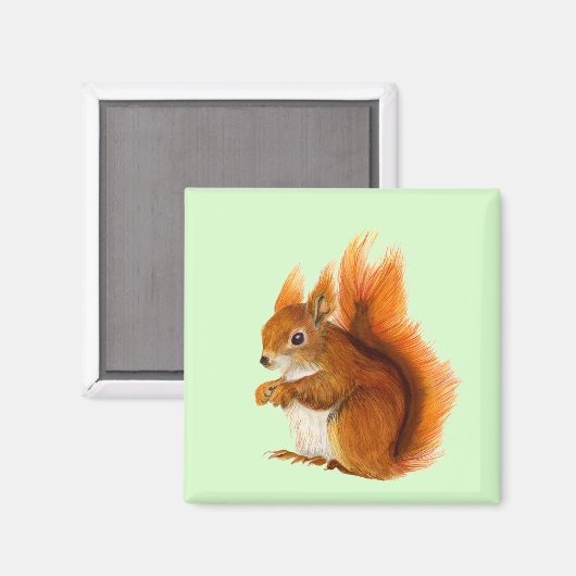 赤いリスの水の色の絵画野生生物のアートワーク マグネット (正面/裏面)
