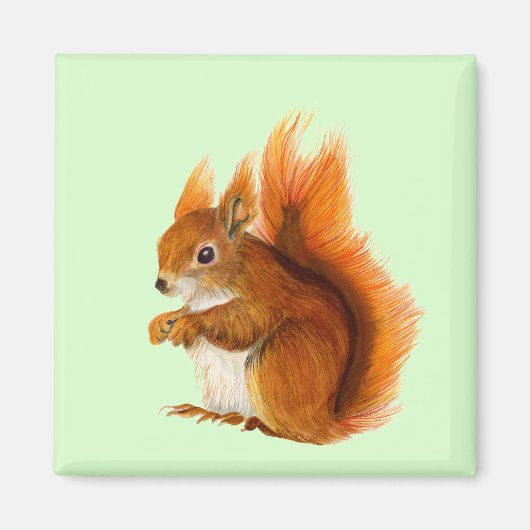 赤いリスの水の色の絵画野生生物のアートワーク マグネット (正面)