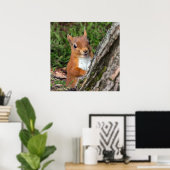 赤いリスの野生生物写真のポスター ポスター (ホームオフィス)