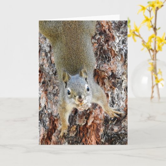 赤いリス カード (黄色い花)