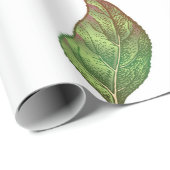 赤いリンゴのシームレスパターン。現実的なヴィンタグ ラッピングペーパー (ロールコーナー)