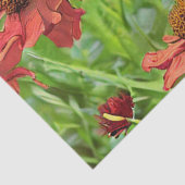 赤いルドベキアの花 薄葉紙 (詳細)