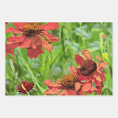 赤いルドベッキアの花 ラッピングペーパーシート (正面2)