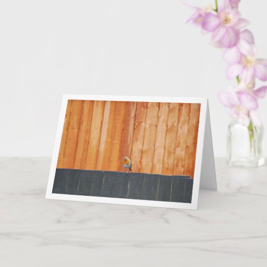 赤いルビンがフェンスに止まってる カード (蘭)