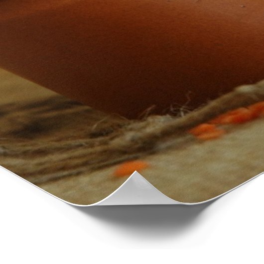 赤いレンズ豆 ポスター (角)