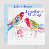 赤いロゼラインコの男の子の誕生日パーティー招待状 招待状 (正面/裏面)