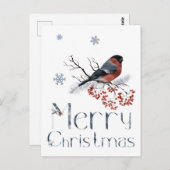 赤いロビンがナナカマドの枝に止まる ポストカード (正面/裏面)