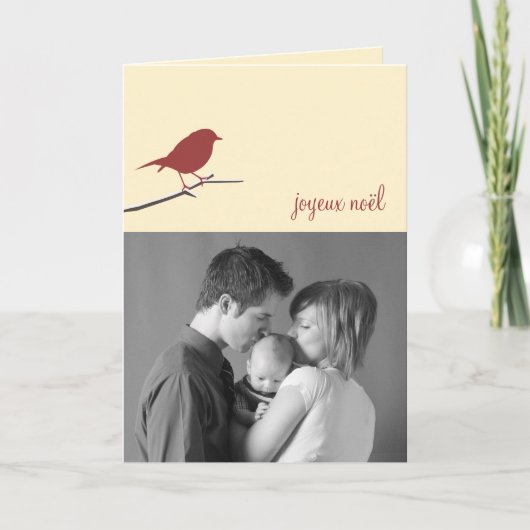 赤いロビンJoyeux Noëlのクリスマスの写真のモダン シーズンカード (正面)