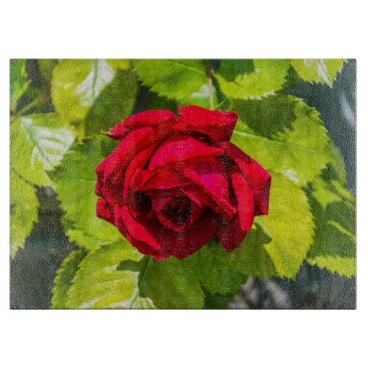 赤いローズガラス カッティングボード (正面)