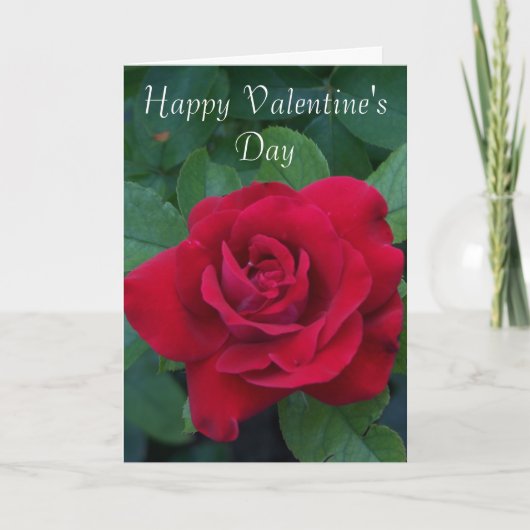 赤いローズフォト シーズンカード (正面)