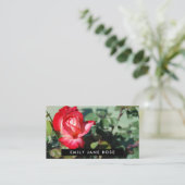 赤いローズ、フローリィ 名刺 (スタンド正面)