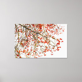 赤いローワン果実又はアッシュベリー キャンバスプリント