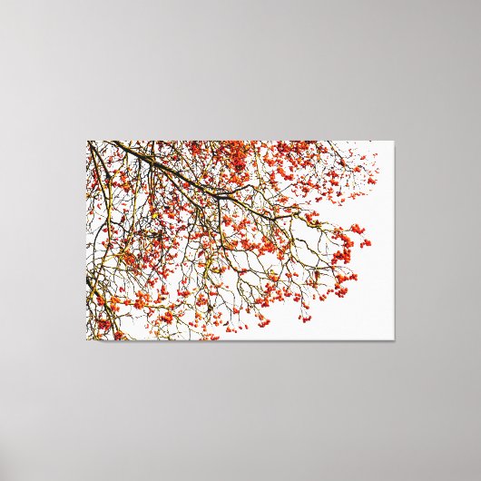 赤いローワン果実又はアッシュベリー キャンバスプリント (正面)