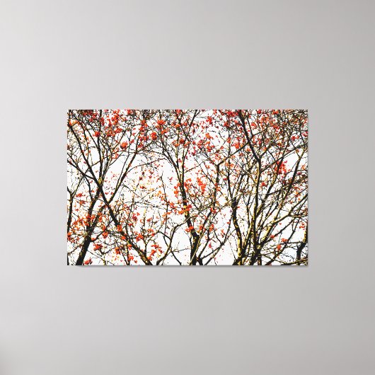 赤いローワン果実又はアッシュベリー キャンバスプリント (正面)
