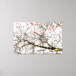 赤いローワン果実又はアッシュベリー キャンバスプリント