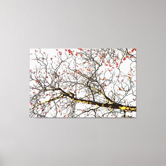 赤いローワン果実又はアッシュベリー キャンバスプリント (正面)