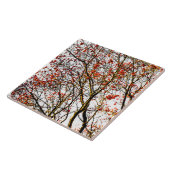 赤いローワン果実又はアッシュベリー タイル (側面)