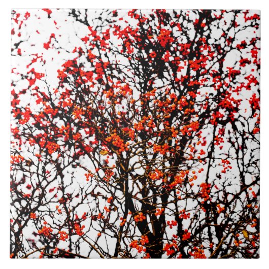 赤いローワン果実又はアッシュベリー タイル (正面)