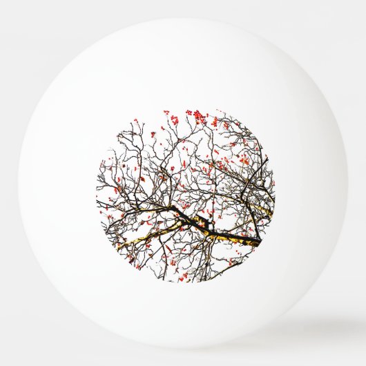 赤いローワン果実又はアッシュベリー 卓球ボール (正面)