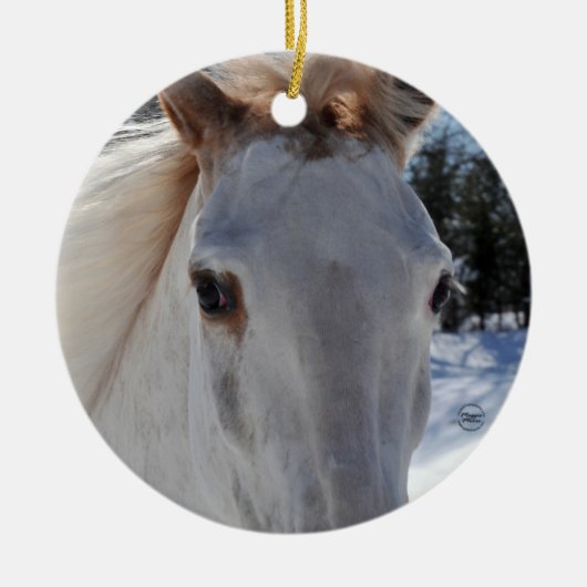 赤いローンの馬の目 セラミックオーナメント (正面)