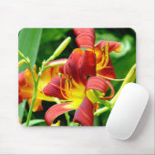 赤いワスレグサのマウスパッド マウスパッド (マウス)