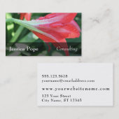 赤いワスレグサの写真の水低下、2 名刺 (正面/裏面)