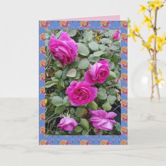 赤いヴィンテージのバラ ローズガーデンの花のカード カード (黄色い花)