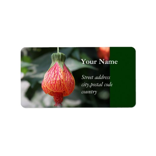 赤い上げぶら下がったの花 ラベル (正面)