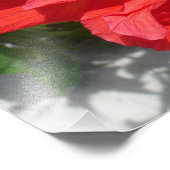 赤い二重ハイビスカスフラワー フォトプリント (角)