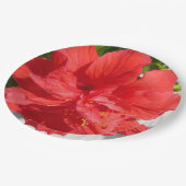 赤い二重ハイビスカスフラワー ペーパープレート (アングル)