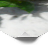 赤い二重ハイビスカスフラワー ポスター (コーナー)