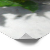 赤い二重ハイビスカスフラワー ポスター (角)