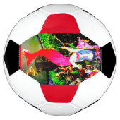赤い人魚の仲間 サッカーボール (回転)