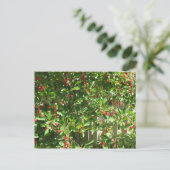 赤い円さくらんぼ ポストカード (スタンド正面)