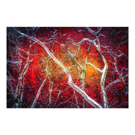 赤い冬の夜 フォトプリント            (正面)