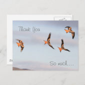 赤い凧ありがとう ポストカード (正面/裏面)