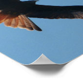 赤い凧のポスター ポスター (角)