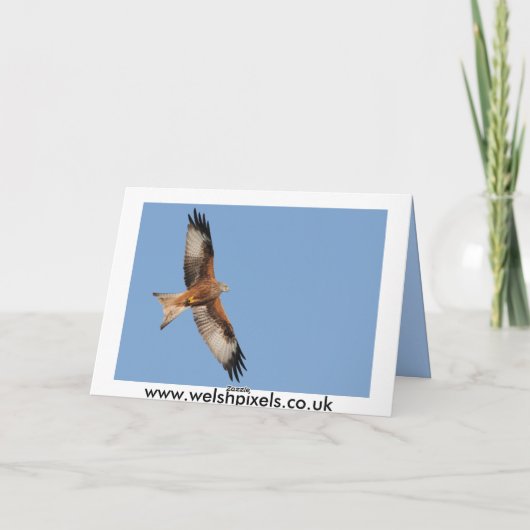 赤い凧カード カード (裏面)