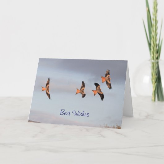 赤い凧 カード (正面)