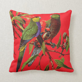 赤い分散クッションのROSELLAS クッション