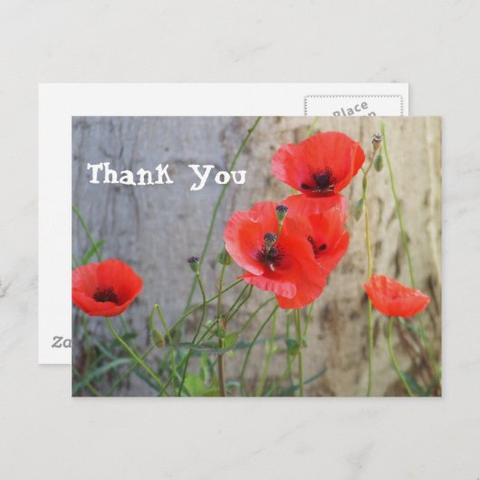 赤い分野のヒナゲシは郵便はがき感謝していしています ポストカード (正面/裏面)