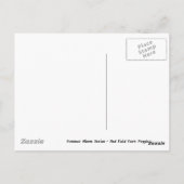 赤い分野のヒナゲシは郵便はがき感謝していしています ポストカード (裏面)