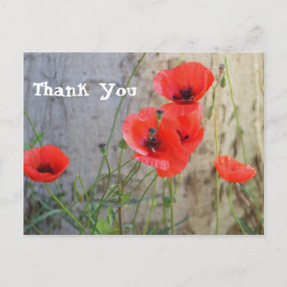 赤い分野のヒナゲシは郵便はがき感謝していしています ポストカード