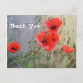 赤い分野のヒナゲシは郵便はがき感謝していしています ポストカード (正面)